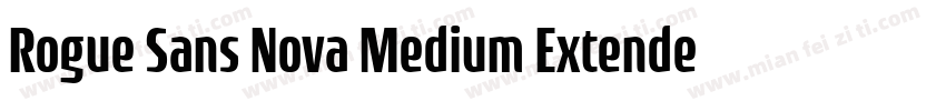 Rogue Sans Nova Medium Extended字体转换